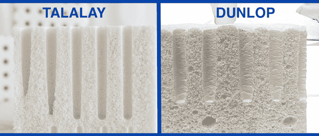 Talalay Latex vs Dunlop Latex Mattresses